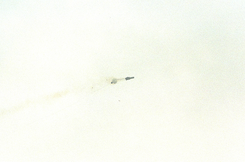 image0108