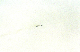 image0108