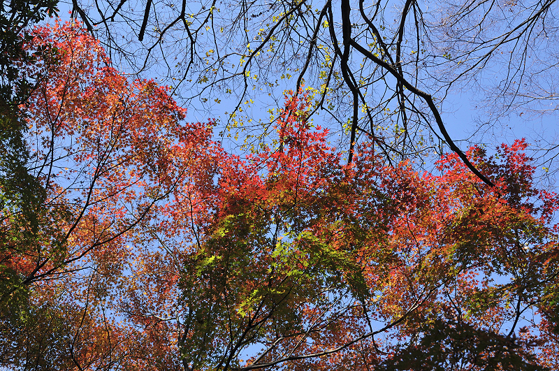 image0115