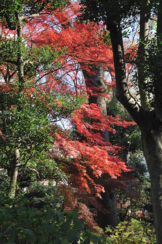 image0117