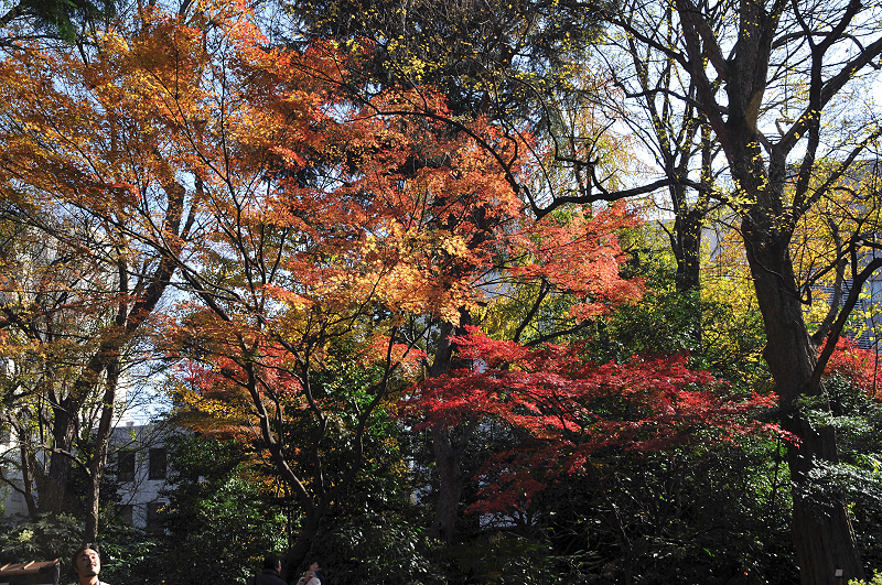 image0118