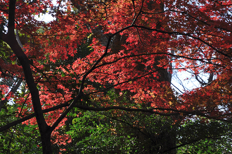 image0122