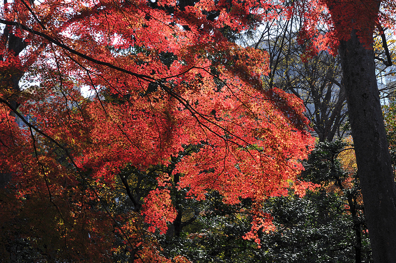 image0128