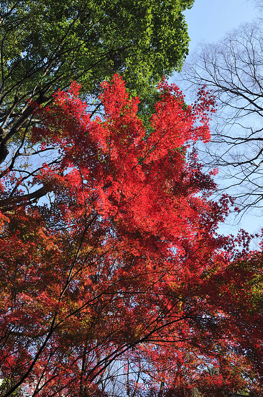 image0132