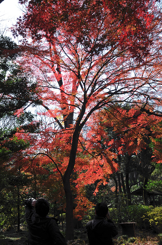 image0133