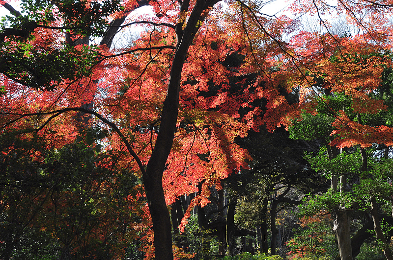 image0135