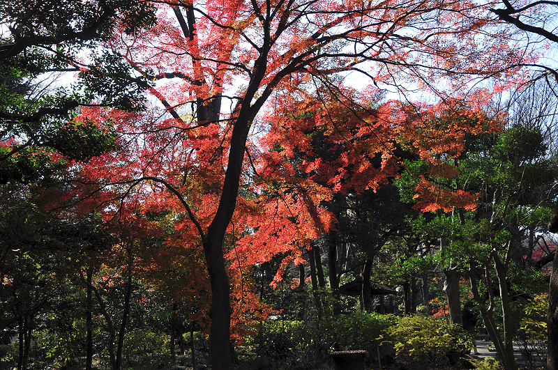 image0137
