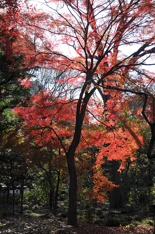 image0144