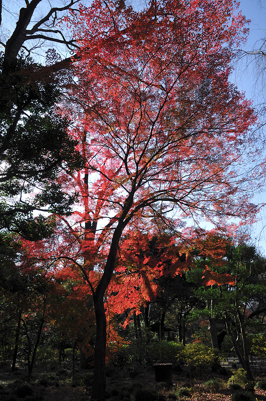 image0146