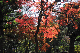 image0141