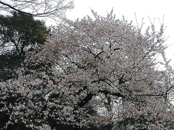 image0000