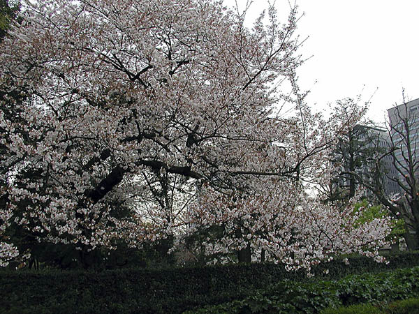 image0001