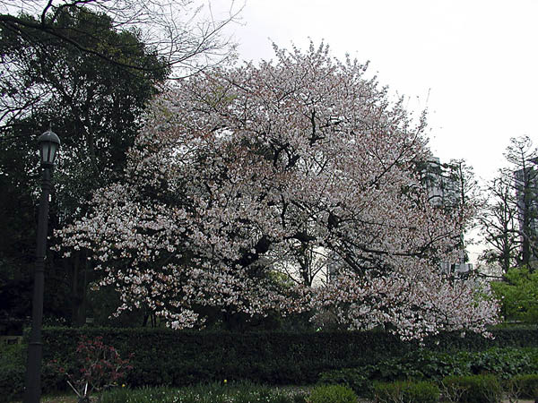 image0002