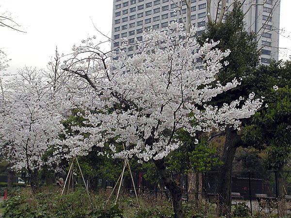 image0004