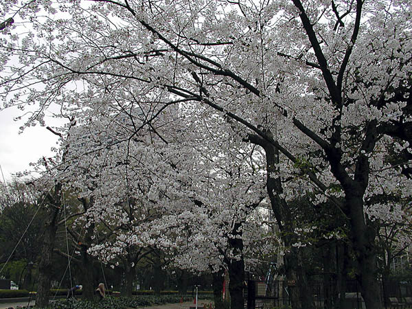 image0008