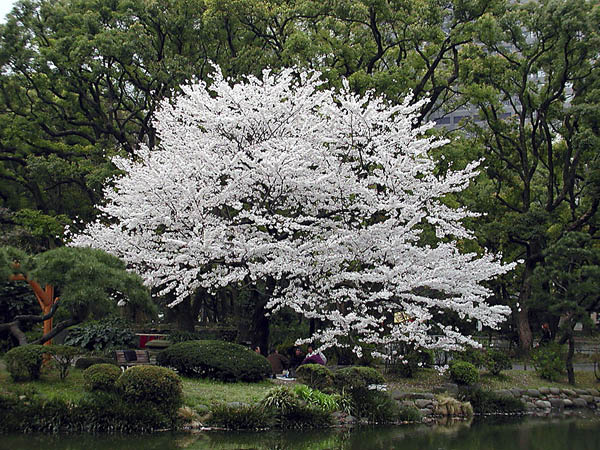image0009