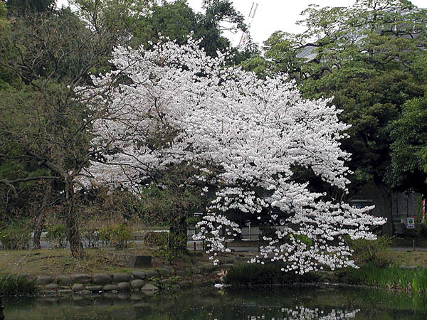 image0010
