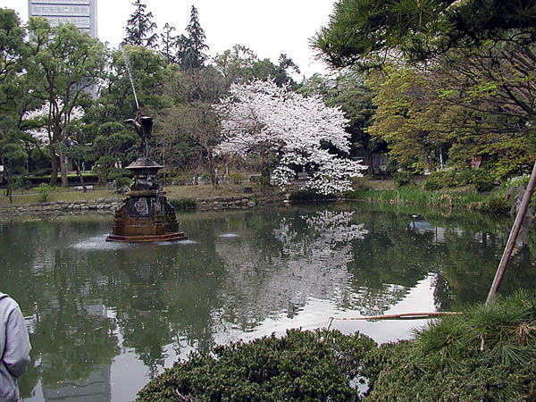 image0011