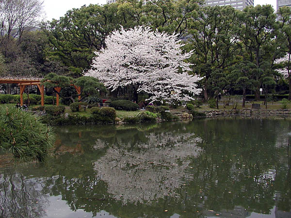 image0012