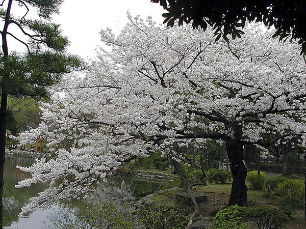 image0014