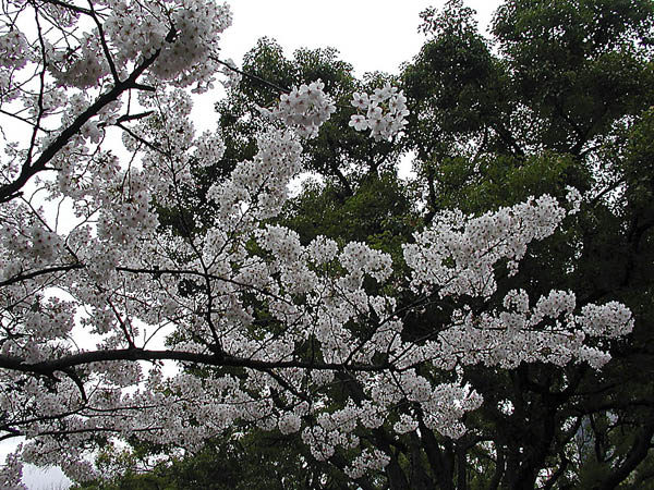 image0015