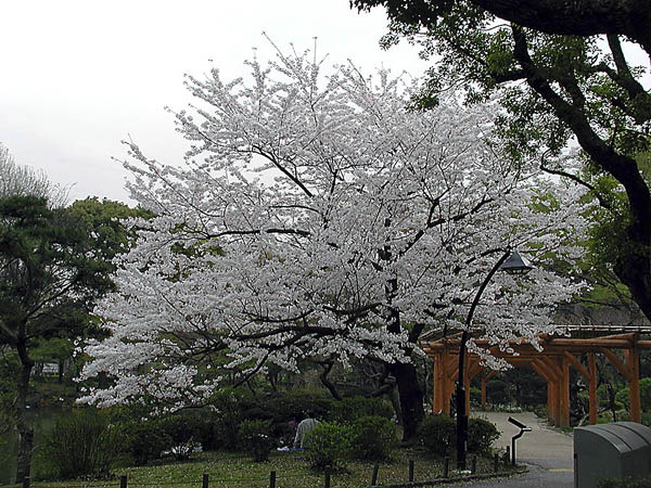 image0016