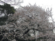 image0000