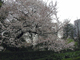 image0001