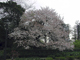 image0002