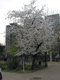 image0003