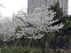 image0004