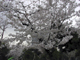 image0006