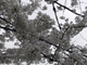 image0007