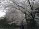 image0008