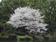 image0009