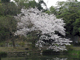 image0010