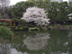 image0012