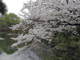 image0013