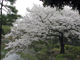 image0014