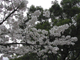 image0015