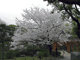 image0016