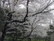 image0017