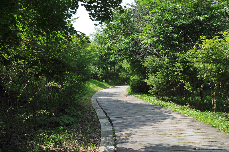 image0075