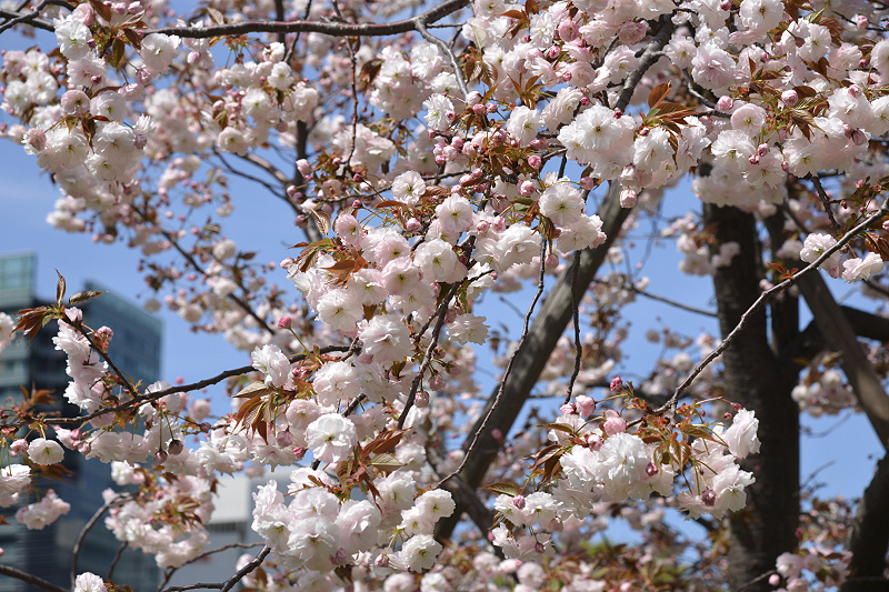 image0226