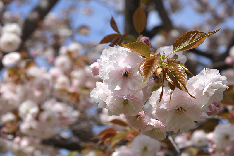 image0274