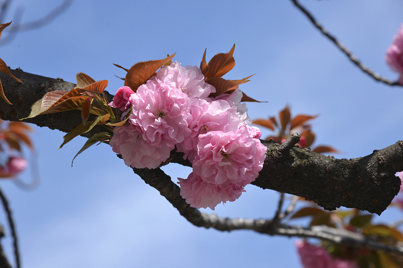 image0410