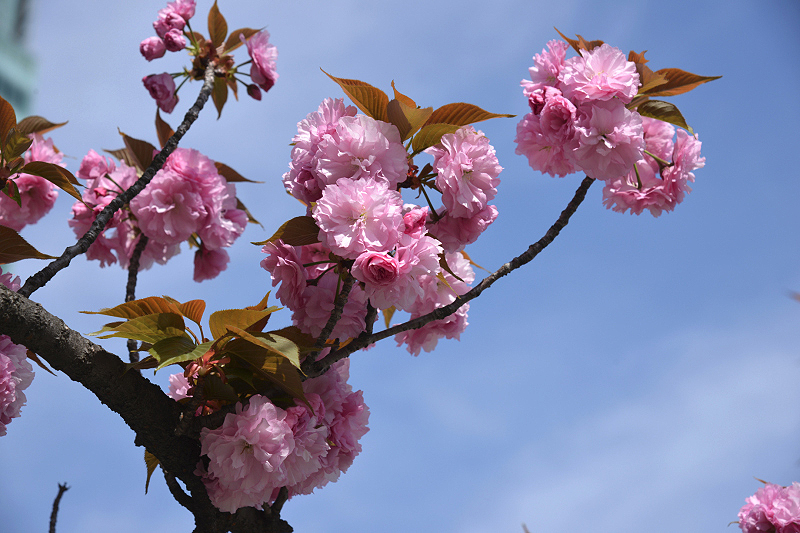 image0417