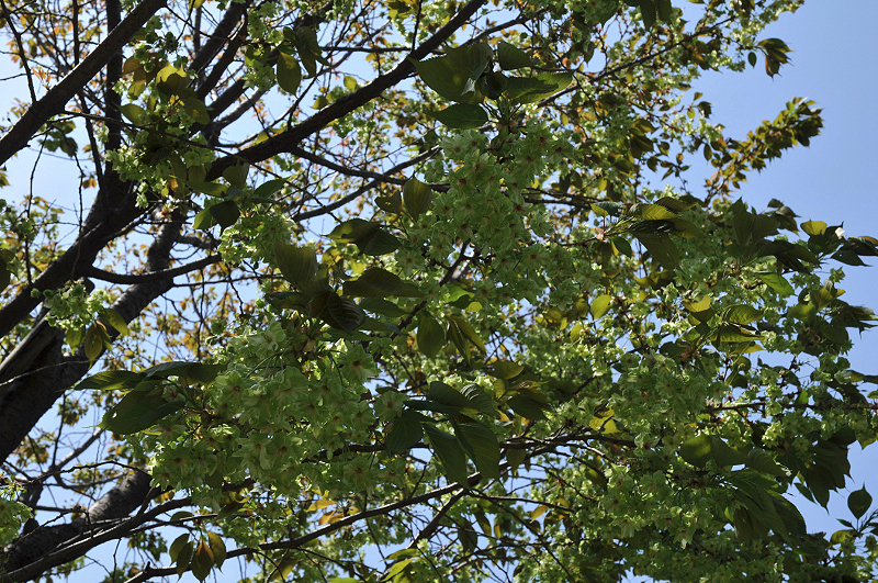 image0065