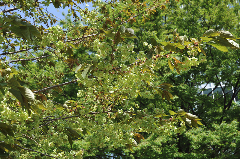 image0073