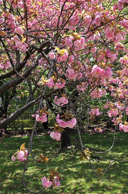 image0094